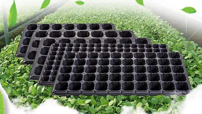 Máy sản xuất khay ươm cây giống là gì?